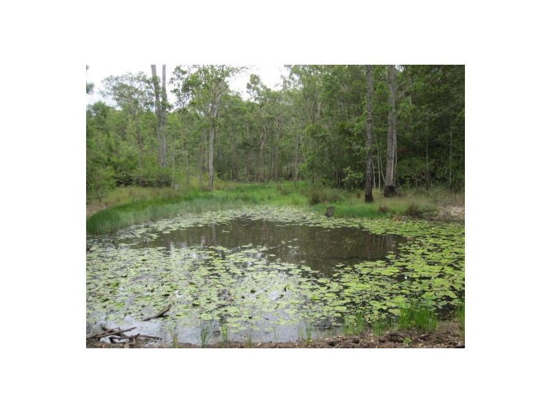 2475 Old Tenterfield Rd, Rappville NSW 2469