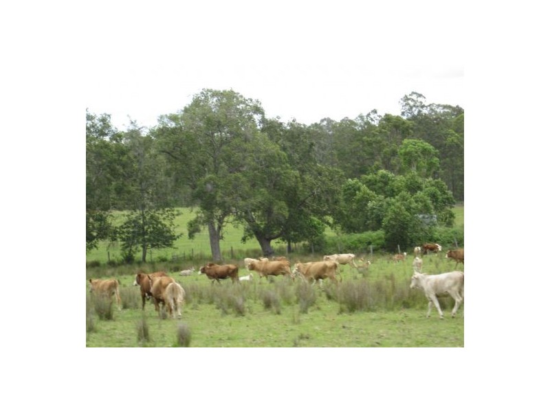 2475 Old Tenterfield Rd, Rappville NSW 2469