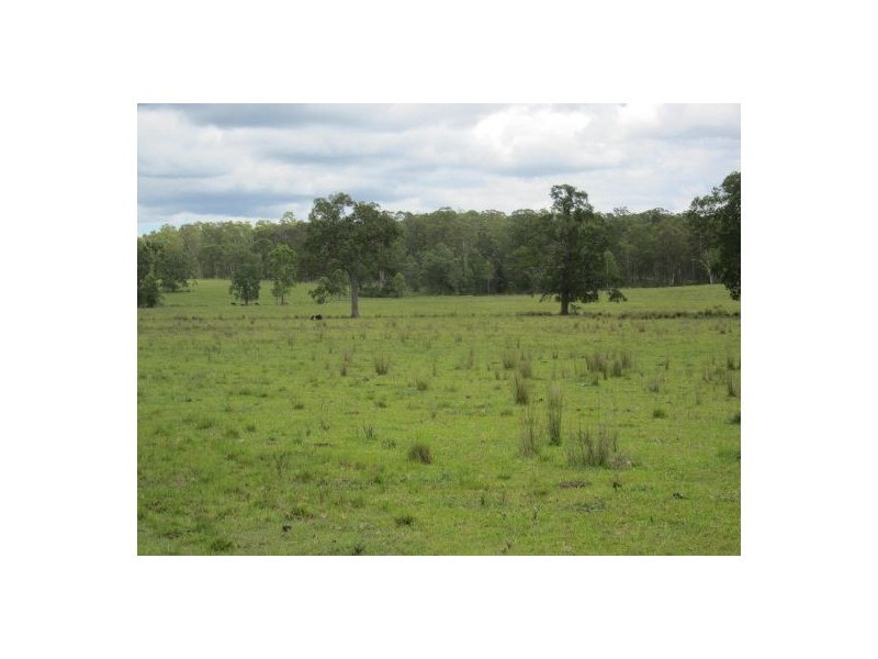 2475 Old Tenterfield Rd, Rappville NSW 2469