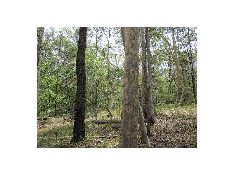 2475 Old Tenterfield Rd, Rappville NSW 2469