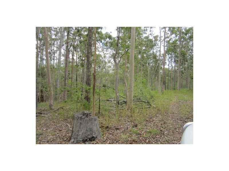 2475 Old Tenterfield Rd, Rappville NSW 2469