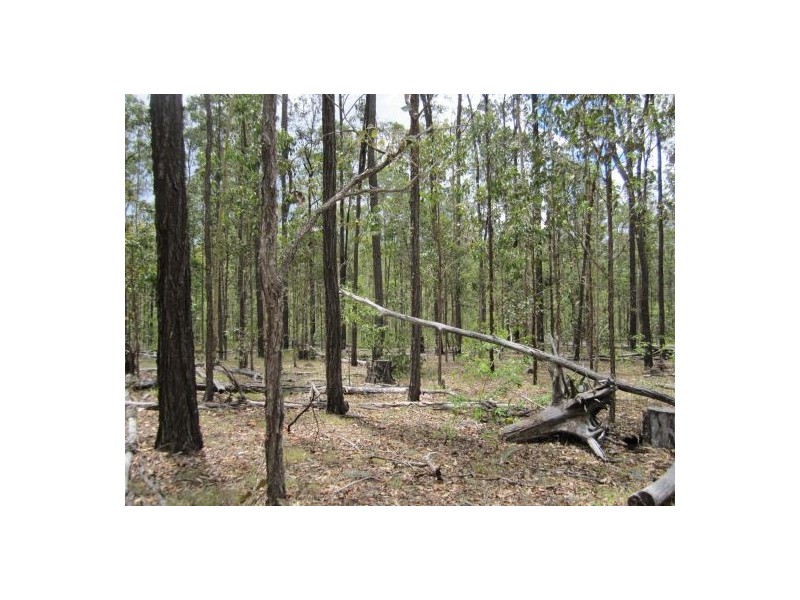 2475 Old Tenterfield Rd, Rappville NSW 2469