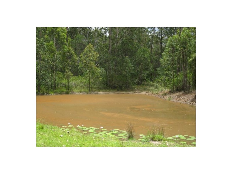 2475 Old Tenterfield Rd, Rappville NSW 2469