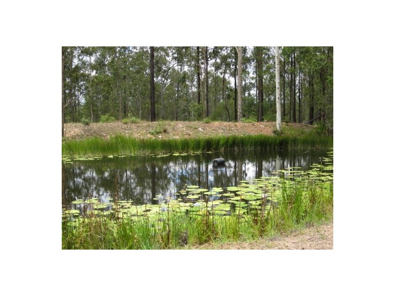 2475 Old Tenterfield Rd, Rappville NSW 2469