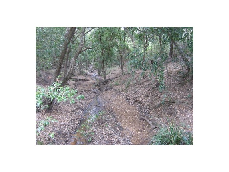 2475 Old Tenterfield Rd, Rappville NSW 2469