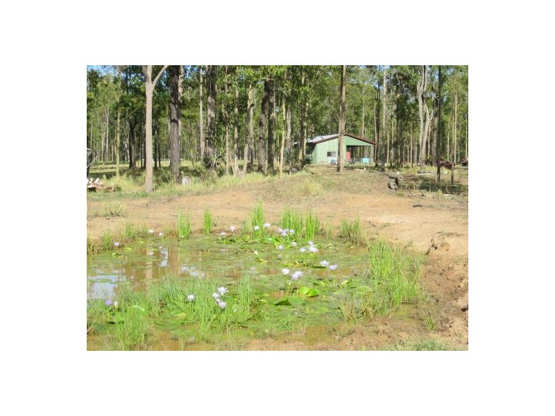 255 Avenue Rd, Rappville NSW 2469