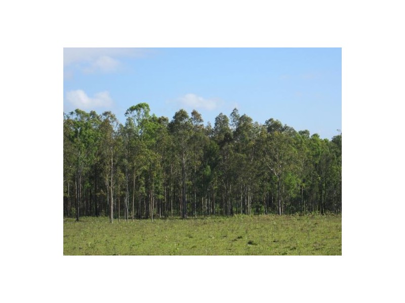 255 Avenue Rd, Rappville NSW 2469