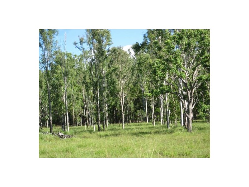 255 Avenue Rd, Rappville NSW 2469