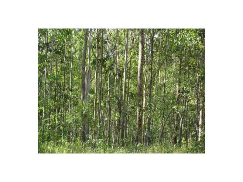 255 Avenue Rd, Rappville NSW 2469