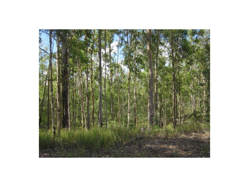 255 Avenue Rd, Rappville NSW 2469