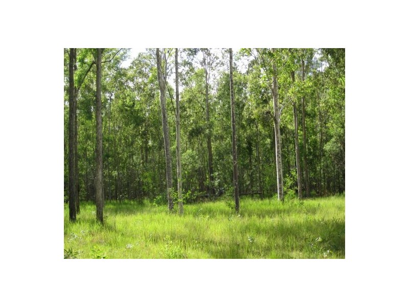 255 Avenue Rd, Rappville NSW 2469