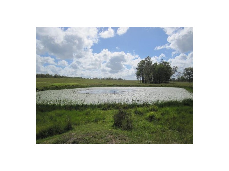 255 Avenue Rd, Rappville NSW 2469