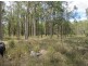 Lot 1 Paddys Flat Rd, Tabulam NSW 2469