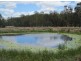 Lot 1 Paddys Flat Rd, Tabulam NSW 2469