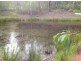1221 Paddys Flat Rd, Tabulam NSW 2469
