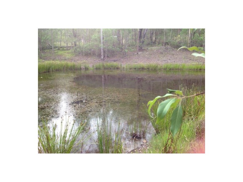 1221 Paddys Flat Rd, Tabulam NSW 2469