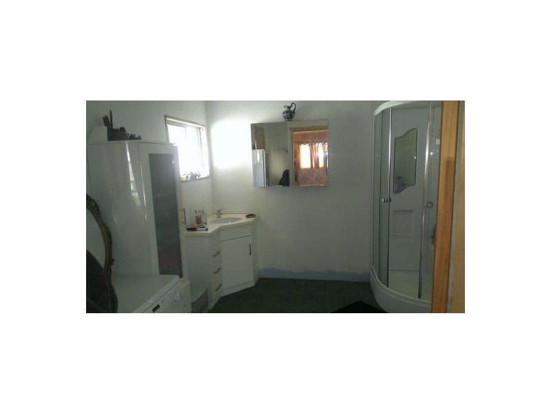 1221 Paddys Flat Rd, Tabulam NSW 2469