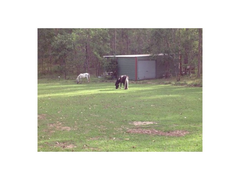 1221 Paddys Flat Rd, Tabulam NSW 2469