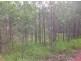 1221 Paddys Flat Rd, Tabulam NSW 2469