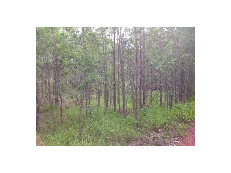 1221 Paddys Flat Rd, Tabulam NSW 2469