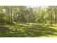 1221 Paddys Flat Rd, Tabulam NSW 2469
