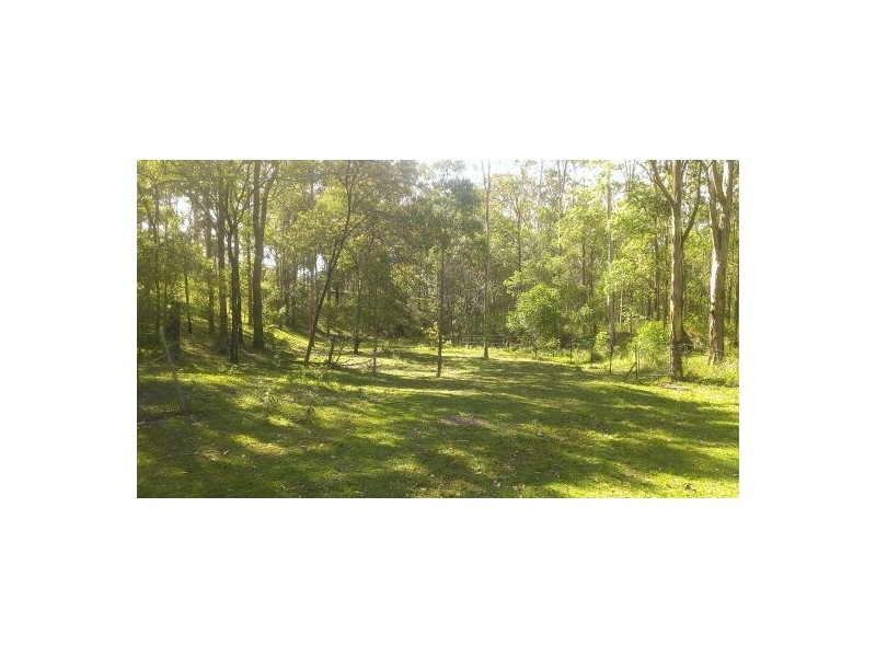 1221 Paddys Flat Rd, Tabulam NSW 2469