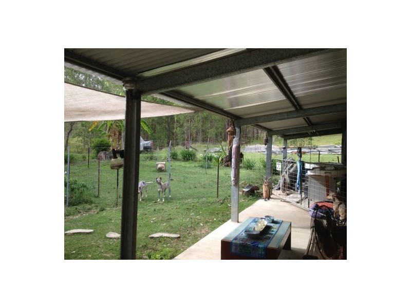 1221 Paddys Flat Rd, Tabulam NSW 2469