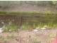1221 Paddys Flat Rd, Tabulam NSW 2469
