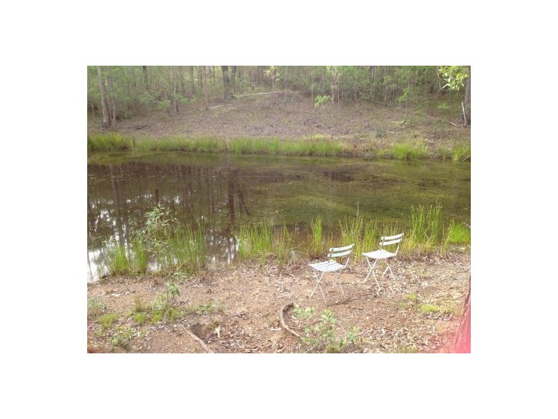 1221 Paddys Flat Rd, Tabulam NSW 2469