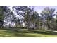 1221 Paddys Flat Rd, Tabulam NSW 2469
