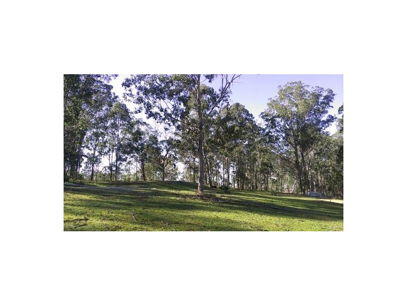 1221 Paddys Flat Rd, Tabulam NSW 2469
