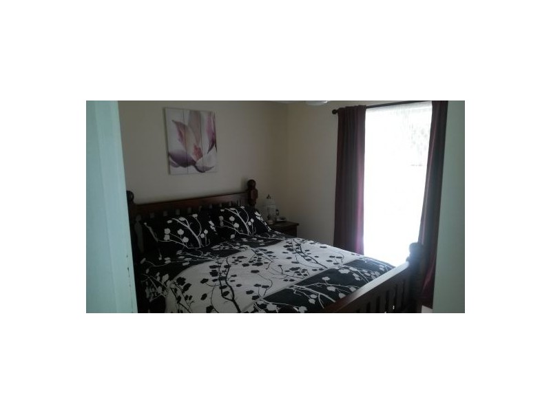 2455 Busbys Flat Road, Busbys Flat NSW 2469