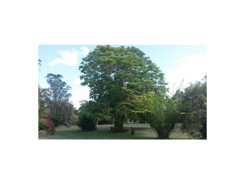 20 Hillside Drive, Fairy Hill NSW 2470