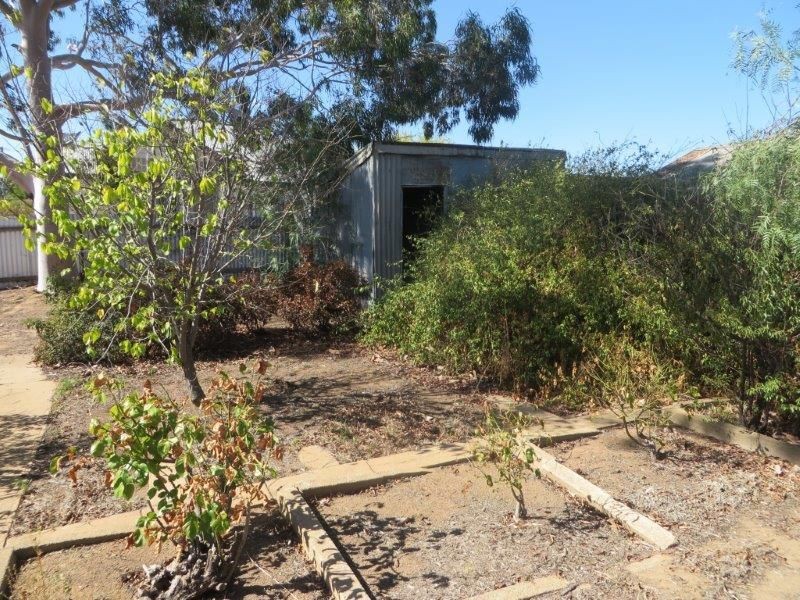 4 Pitt St, Junee NSW 2663