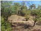 4 Pitt St, Junee NSW 2663