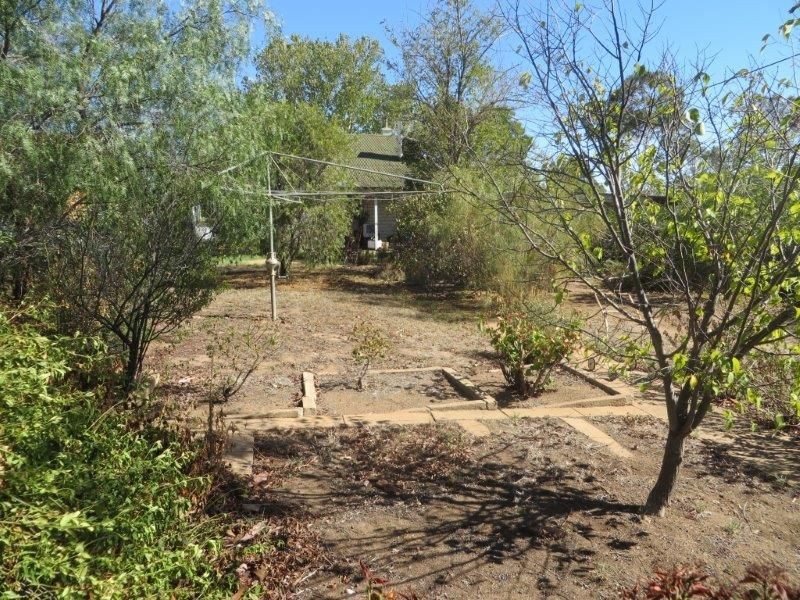 4 Pitt St, Junee NSW 2663