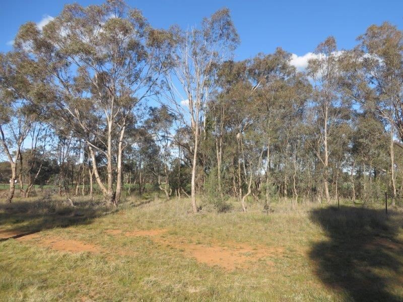 26 Percy St, Old Junee NSW 2652