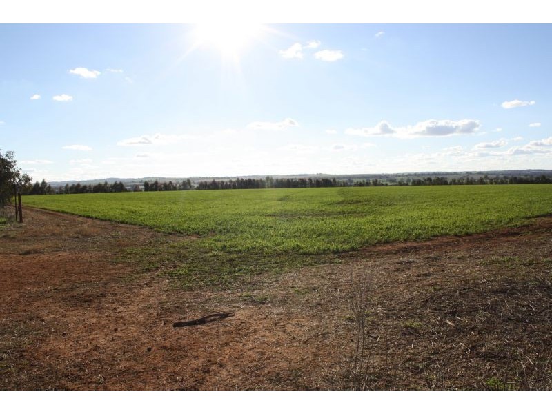 Lot 7 Roedigers Lane, Junee NSW 2663