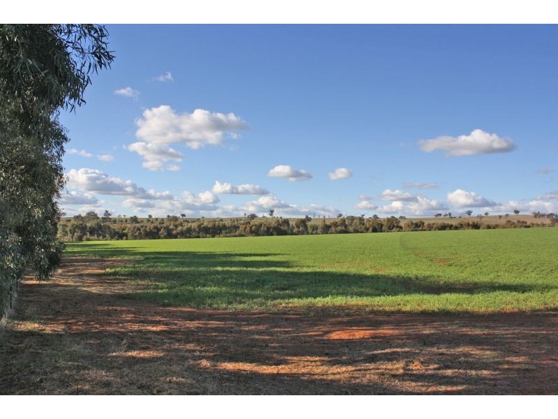 Lot 7 Roedigers Lane, Junee NSW 2663