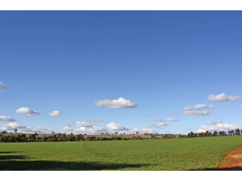 Lot 7 Roedigers Lane, Junee NSW 2663