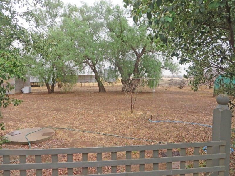459 Temora Rd, Junee NSW 2663