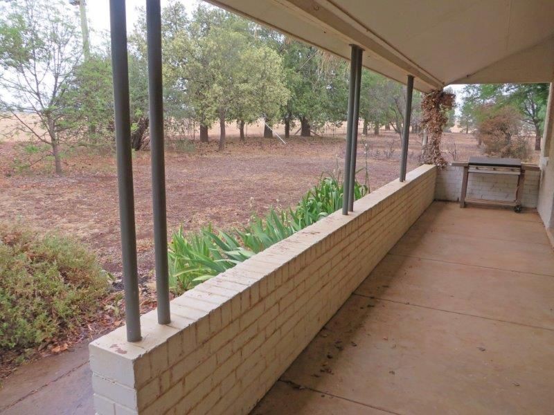 459 Temora Rd, Junee NSW 2663
