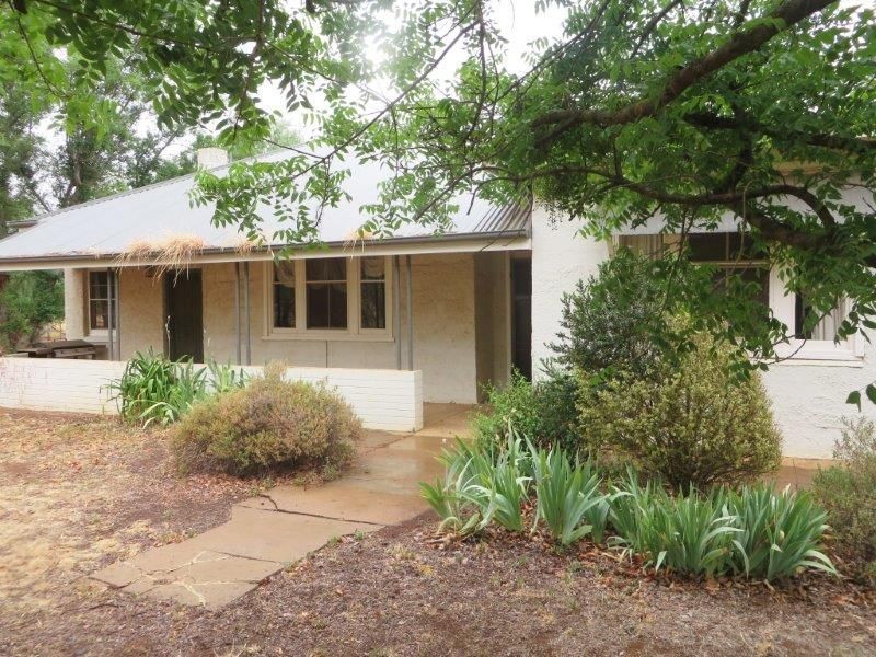 459 Temora Rd, Junee NSW 2663