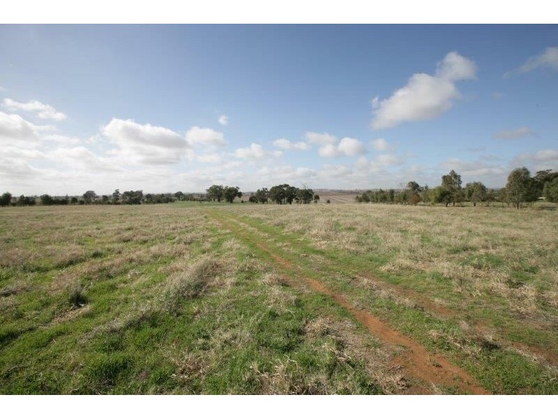 Lot 3 Wyoming Lane, Junee NSW 2663