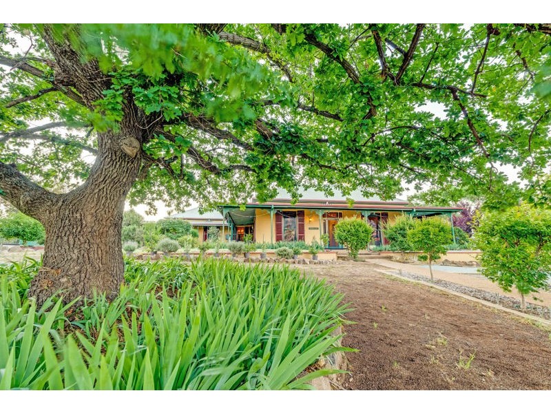 58 Kemp St, Junee NSW 2663