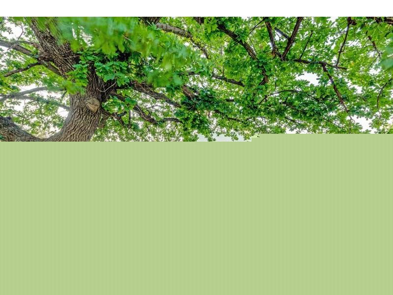 58 Kemp St, Junee NSW 2663