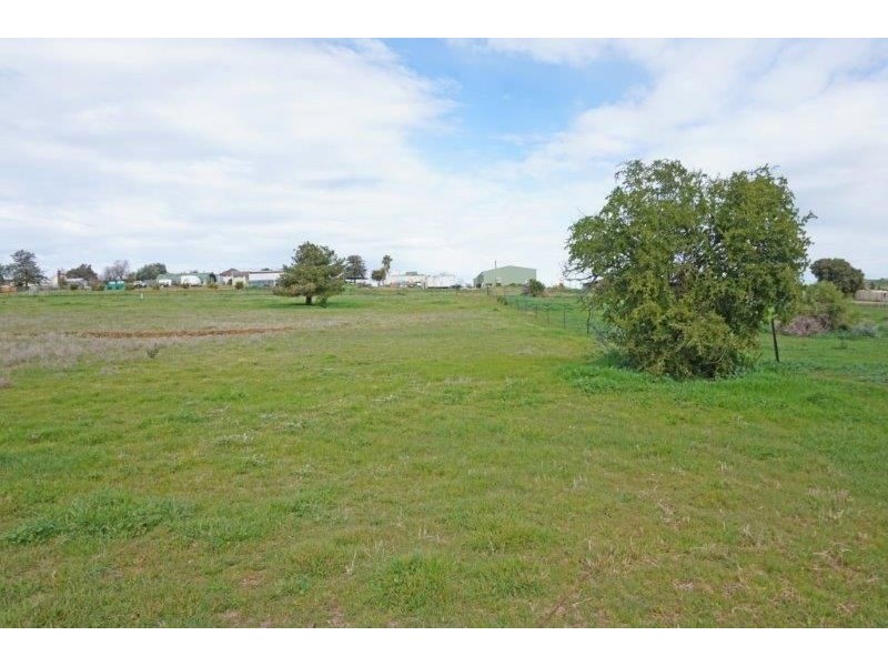 Lot 3 Knight Street, Junee NSW 2663