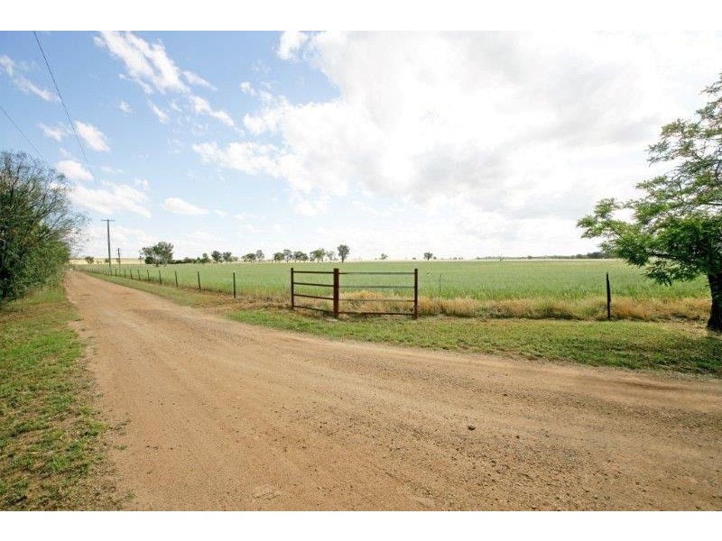 78 Hanks Lane, Junee NSW 2663