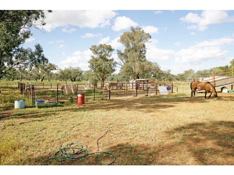 78 Hanks Lane, Junee NSW 2663