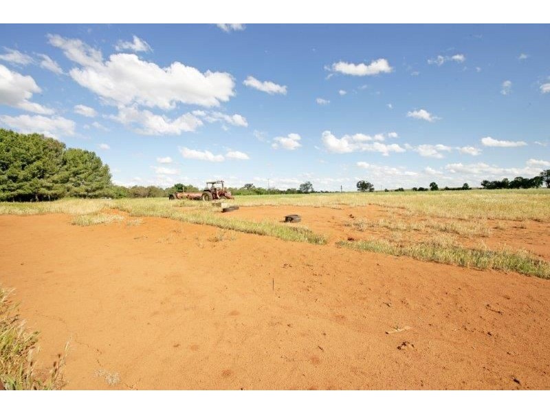 78 Hanks Lane, Junee NSW 2663